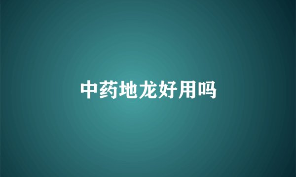 中药地龙好用吗