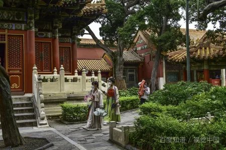 绵阳职业技术学院招生代码是多少?