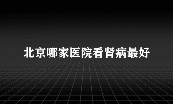 北京哪家医院看肾病最好