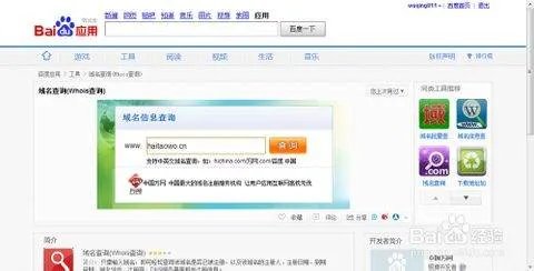 by域名怎么查