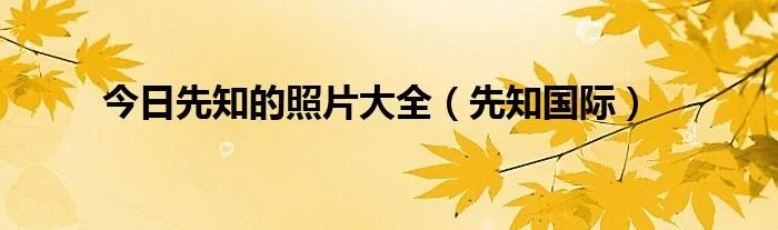 今日先知的照片大全（先知国际）