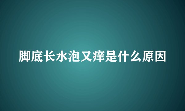 脚底长水泡又痒是什么原因