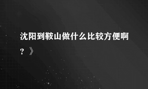 沈阳到鞍山做什么比较方便啊？》