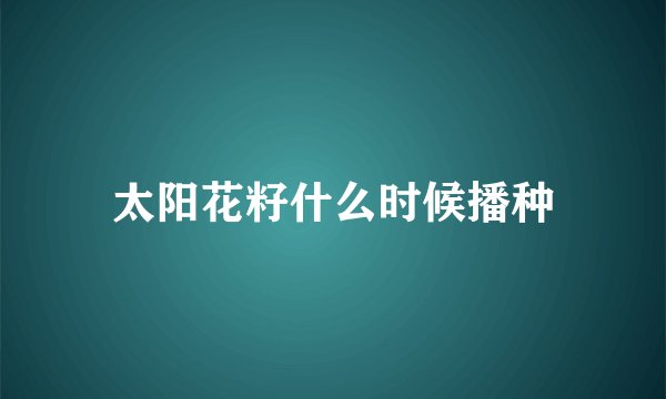 太阳花籽什么时候播种