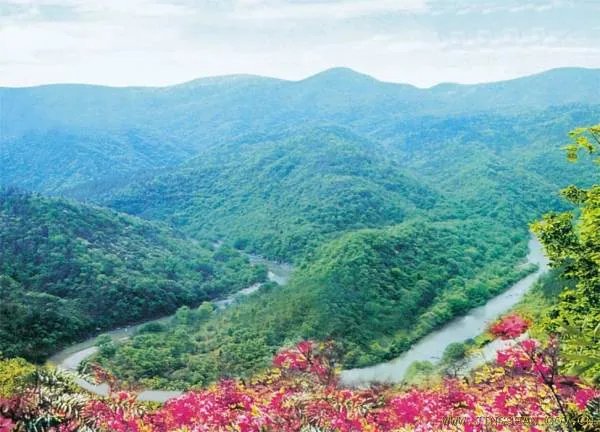 绿林山风景区的景区简介