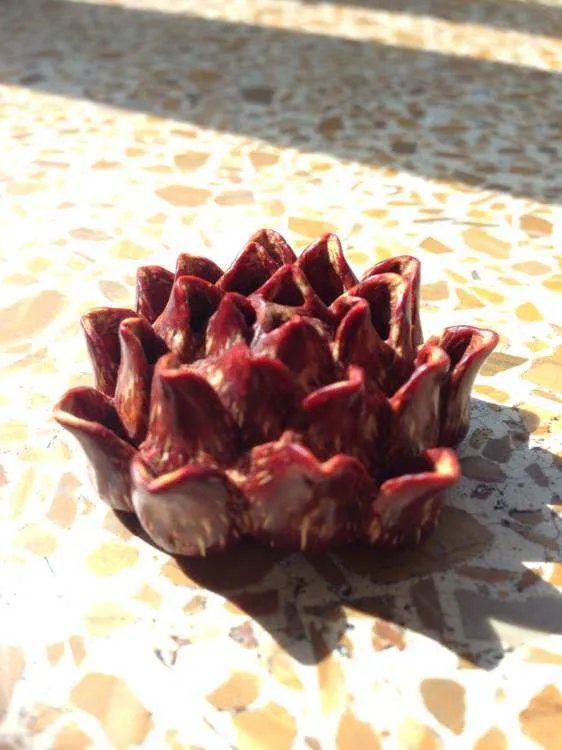 滴血莲花