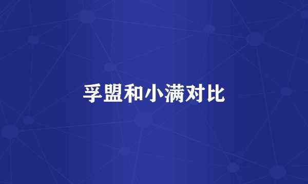孚盟和小满对比