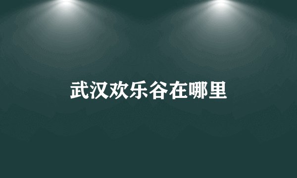 武汉欢乐谷在哪里