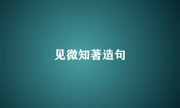见微知著造句