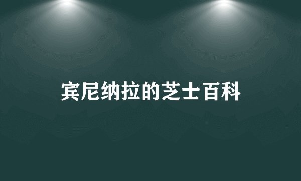 宾尼纳拉的芝士百科