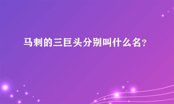 马刺的三巨头分别叫什么名？