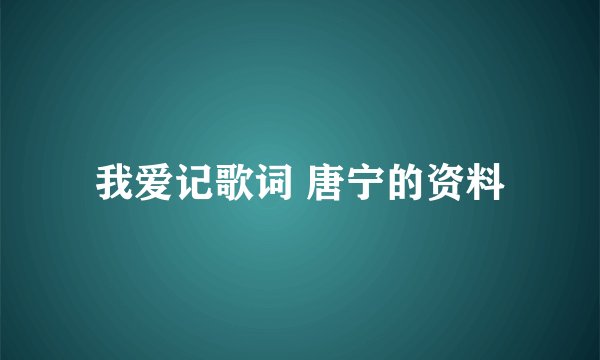 我爱记歌词 唐宁的资料
