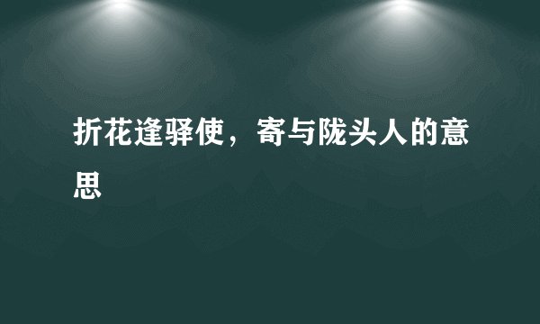 折花逢驿使，寄与陇头人的意思