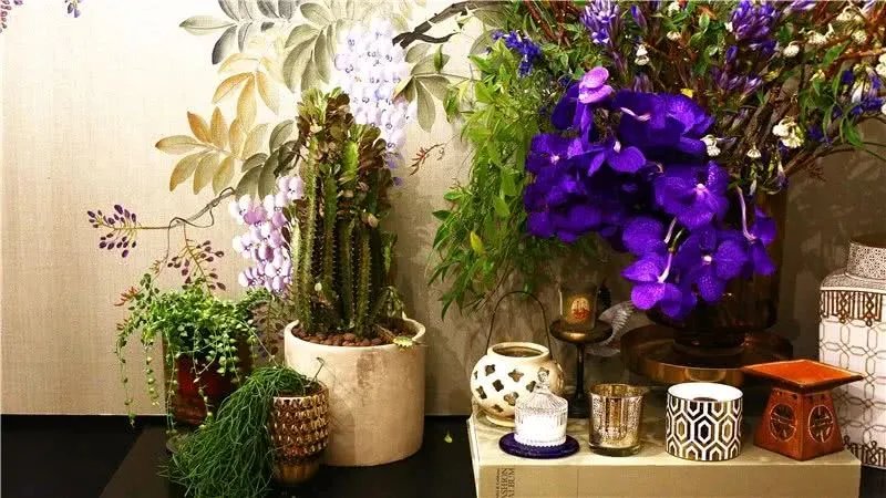 他花15万把上海老宅改成摩洛哥宫殿,看完我家25万装修都晒不出手!