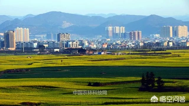云南罗平有哪些旅游景点？