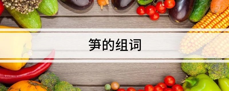 笋的组词