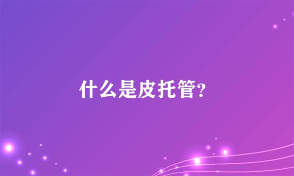 什么是皮托管？