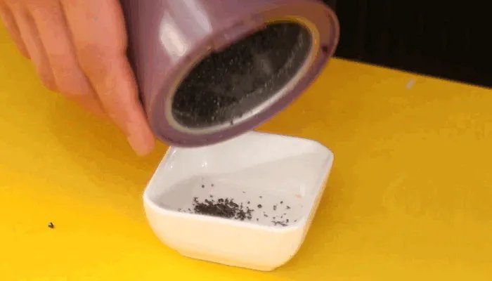 宁波汤圆的做法 正宗宁波汤圆做法