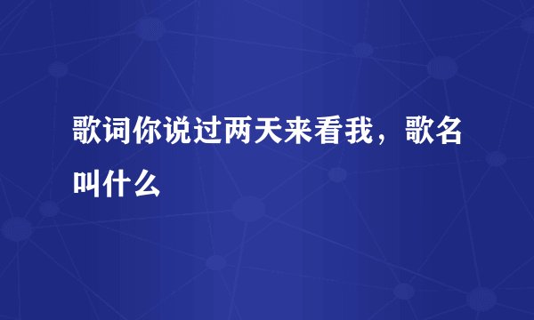 歌词你说过两天来看我，歌名叫什么