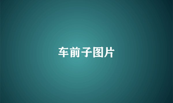 车前子图片