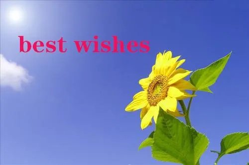 best wishes翻译成中文是什么意思