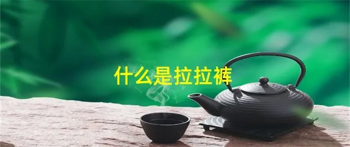 什么是拉拉裤