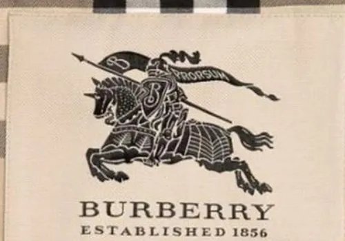 baneberry和BURBERRY有什么不同?