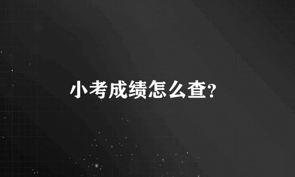 小考成绩怎么查？
