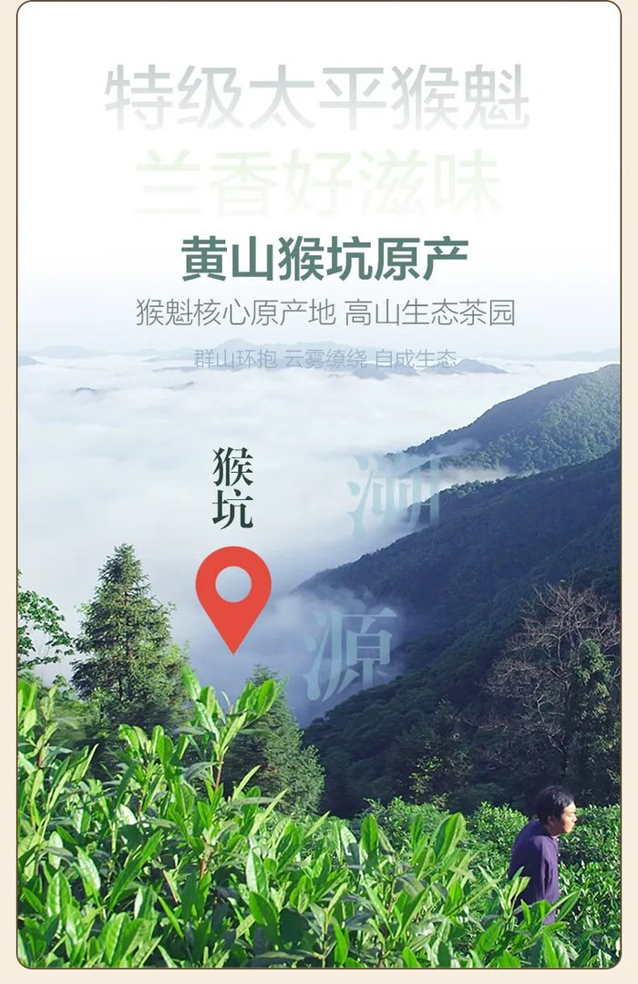 太平猴魁价格