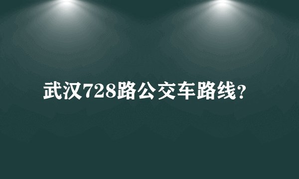 武汉728路公交车路线?