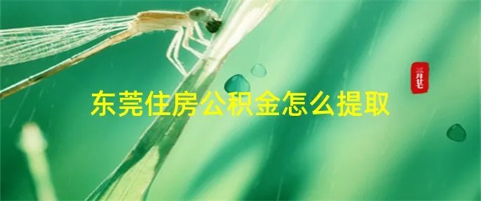 东莞住房公积金怎么提取