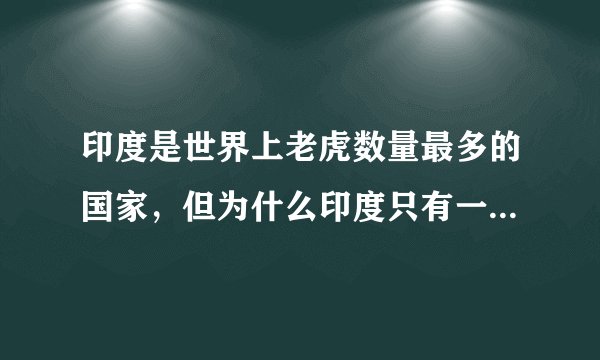 印度是世界上老虎数量最多的国家,但为什么印度只有一种老虎?