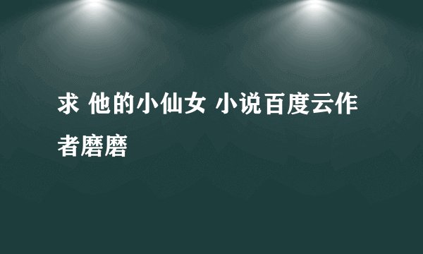求 他的小仙女 小说百度云作者磨磨