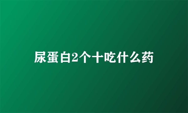 尿蛋白2个十吃什么药