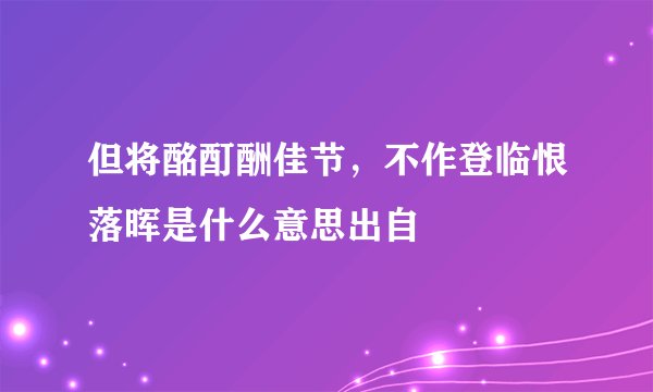 但将酩酊酬佳节,不作登临恨落晖是什么意思出自