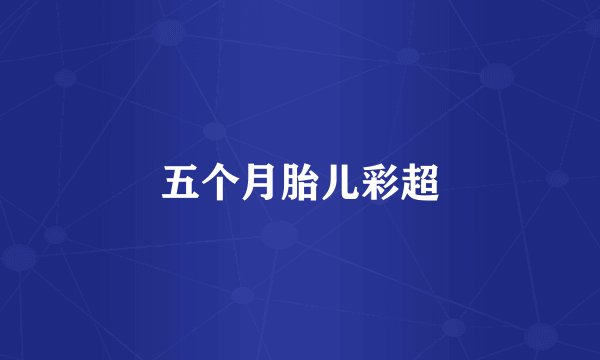 五个月胎儿彩超