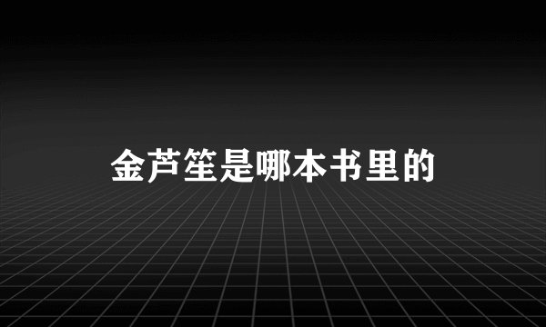 金芦笙是哪本书里的