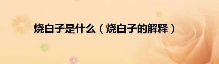 烧白子是什么（烧白子的解释）