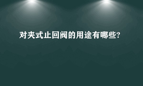 对夹式止回阀的用途有哪些?