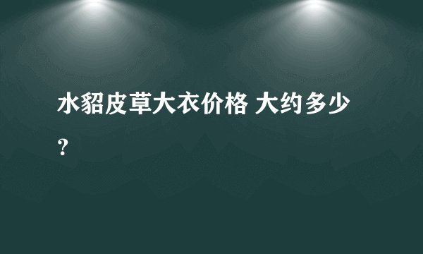 水貂皮草大衣价格 大约多少?