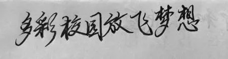 多彩校园放飞梦想的图片