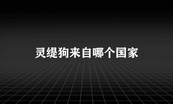 灵缇狗来自哪个国家