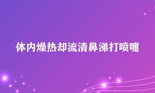 体内燥热却流清鼻涕打喷嚏