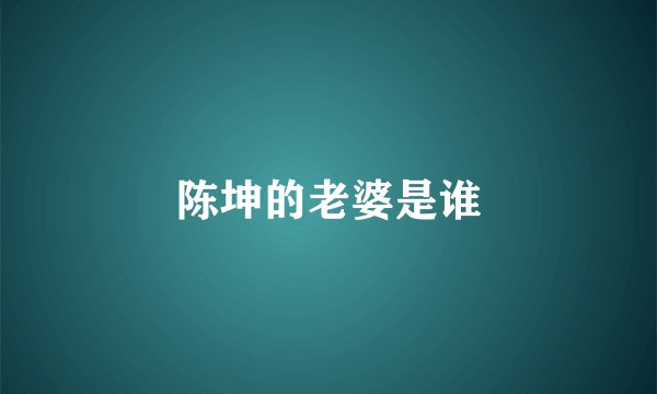 陈坤的老婆是谁