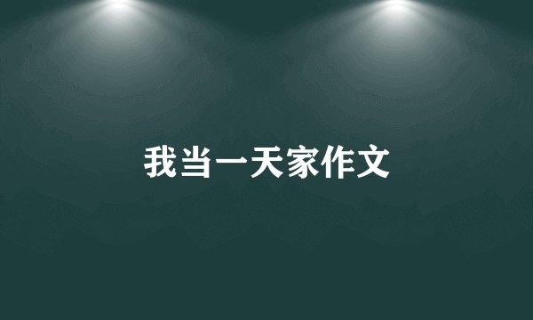 我当一天家作文