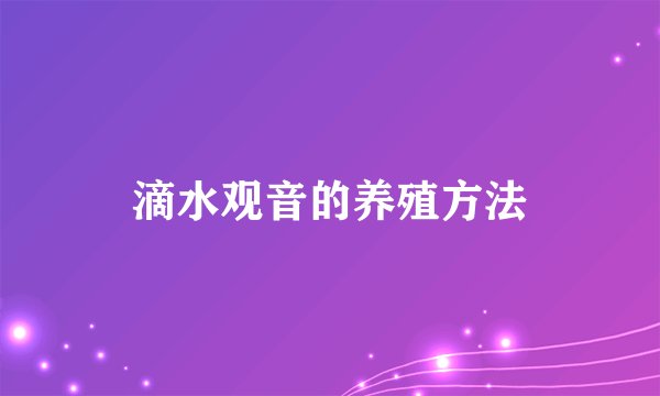 滴水观音的养殖方法