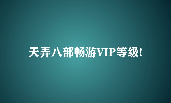 天弄八部畅游VIP等级!