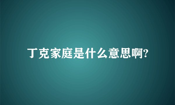 丁克家庭是什么意思啊?