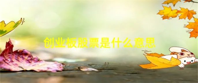创业板股票是什么意思