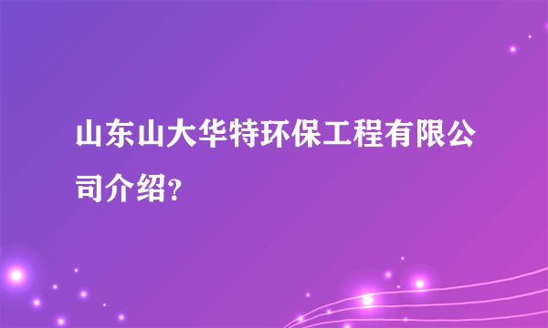山东山大华特环保工程有限公司介绍？